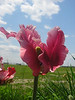 Anthony N. - Exhibit Photos : 